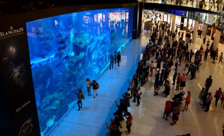 Kostenloser Teil des Dubai Aquariums