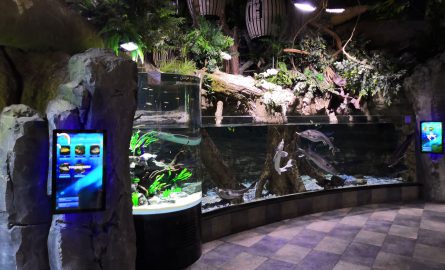 Underwater Zoo im Aquarium in Dubai