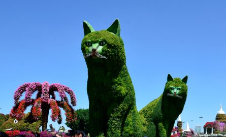 Große Katzen im Miracle Garden aus Blumen und Zweigen
