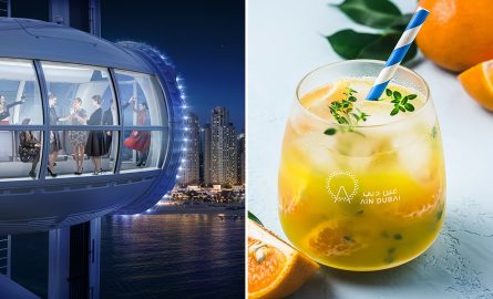 Ain Dubai VIP Ticket